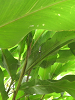 s_A_PICT0092_thumb.png